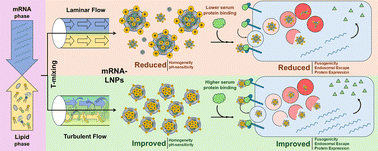 Graphical abstract: Mechanistic model for improved performance of mRNA–LNPs formulated under turbulent mixing conditions
