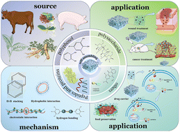 Graphical abstract: Self-assembled hydrogels based on natural active ingredients: mechanisms, applications and characterization