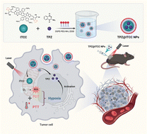Graphical abstract: A tirapazamine-assembled phototherapy agent for combined chemotherapy, photodynamic therapy, and photothermal therapy of hepatocellular carcinoma in mice