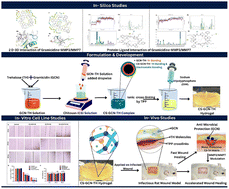 Graphical abstract: Bioinspired antimicrobial peptide hydrogel dressing for the accelerated healing of infected wounds