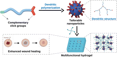 Graphical abstract: Peptide dendritic polymerization-enabled stable and tailorable nanoparticles as crosslinkers for fabricating multifunctional hydrogels with enhanced wound healing efficacy