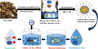 Graphical abstract: S. aromaticum aqueous extract-derived carbon dots: a biosafe antibacterial nanocatalyst for water remediation