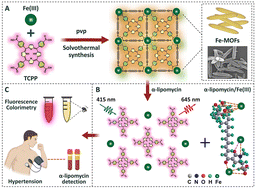 Graphical abstract: Fe-MOF-based fluorescent and colorimetric dual-readout nanoprobe for the sensitive detection of α-lipomycin