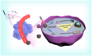 Graphical abstract: A nanoscale cascade system integrating calcium interference with phototherapy–chemotherapy synergy for enhanced antitumor efficacy
