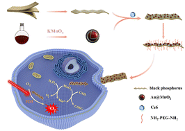 Graphical abstract: Enhanced in vitro photodynamic performance under hypoxia-related conditions by BP–Au@MnO2–Ce6 nanocomposites