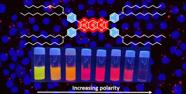 Graphical abstract: Multifunctional pyrazino[2,3-g]quinoxaline derivative capable of acidochromic response, cancer cell imaging, and as an active layer for organic light-emitting diodes