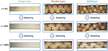 Graphical abstract: Microfluidic preparation of programmable porous conductive hydrogel microfibers for wide-range and sensitive physiological monitoring