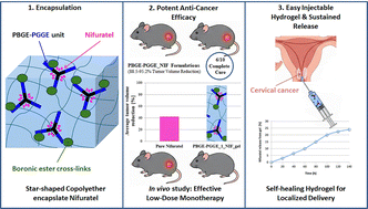 Graphical abstract: Unimolecular micelles as an effective carrier of poorly water-soluble nifuratel for selective in vivo anticervical cancer therapy via mucoadhesive dynamic hydrogels