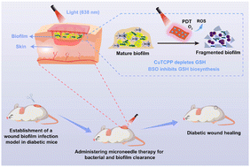 Graphical abstract: A GSH-scavenging and synthesis-blocking microneedle patch for augmenting photodynamic eradication of diabetic wound biofilms