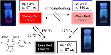 Graphical abstract: Room temperature red phosphorescence: enhancing and regulating phosphorescence by exploiting intermolecular halogen interactions and thermal stimuli