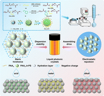 Graphical abstract: Facile assembly of high-solid, responsive liquid photonic crystals via RAFT-synthesized colloidal nanospheres using rotary evaporation