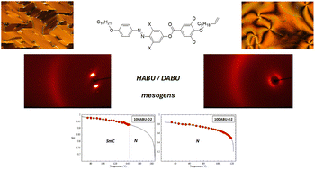 Graphical abstract: Photoactive selectively deuterated reactive mesogens targeted for light-controlled opto-mechanical applications