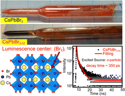 Graphical abstract: 350 ps Ultrafast room-temperature scintillation realized on CsPbBr3-based single crystals via Br2 over-doping