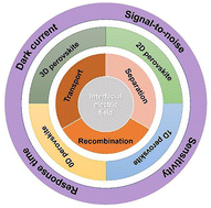 Graphical abstract: An interfacial electric field strategy for improving the performance of perovskite X-ray detectors
