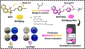 Graphical abstract: Smartphone-assisted low-cost paper-based colorimetric and fluorescent dual-response sensor for visual evaluation of food freshness