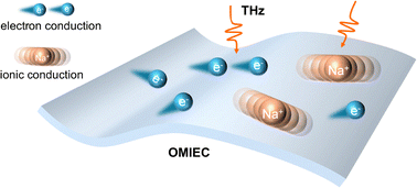 Graphical abstract: Ionic–electronic transport interplay sustaining composition-tolerant terahertz absorption in organic mixed conductors