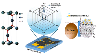 Graphical abstract: Enhanced H2S gas detection using low-cost carbon-loaded CuCrO2–CuO nanomaterials