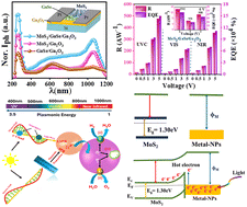 Graphical abstract: An ultra-responsive gold-nanoparticle-functionalized MoS2/GaSe/Ga2O3 heterostructure for self-powered broadband photodetection