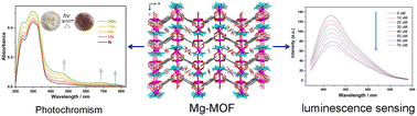 Graphical abstract: Two magnesium-based metal–organic frameworks (Mg-MOFs): structures, photochromism, and fluorescence sensing of Fe3+ ions and cysteine molecules