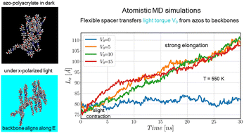 Graphical abstract: Light-induced deformation of side-chain azo-polyacrylate: insights from atomistic modeling