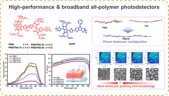 Graphical abstract: Rational tuning of naphthalene diimide (NDI)-thienoisoindigo (TIIG) copolymer compositions for high-performance all-polymer photodetectors with broadband response from 300 nm to 1050 nm