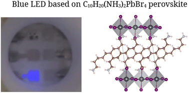 Graphical abstract: Exciton dynamics in the room-temperature luminescent quasi 2D perovskite C10H20(NH3)2PbBr4