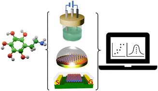Graphical abstract: Recent research development in two-dimensional transition metal dichalcogenides for dopamine sensing