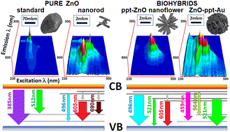 Graphical abstract: Deconvoluting the electronic landscape of ZnO using 2D excitation–emission spectroscopy: effects of microstructuring, doping and restructuring