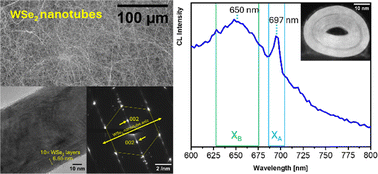 Graphical abstract: Ultra-long WSe2 nanotubes and related hybrid nanostructures