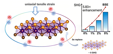 Graphical abstract: Strain-modulated exciton dynamics and optical nonlinearity in two-dimensional Pt-based semiconductors