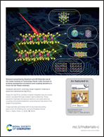 Graphical abstract: Back cover