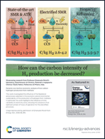 Graphical abstract: Back cover