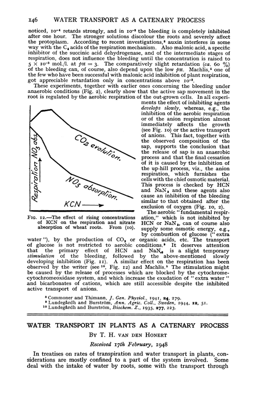 Water transport in plants as a catenary process