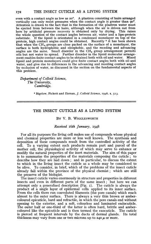 The insect cuticle as a living system