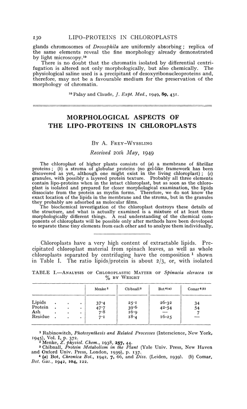Morphological aspects of the lipo-proteins in chloroplasts
