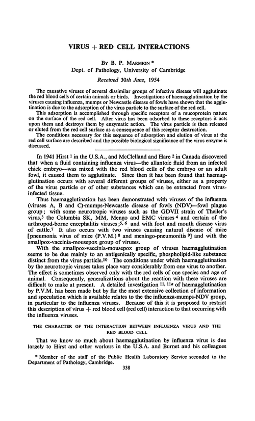 Virus + red cell interactions