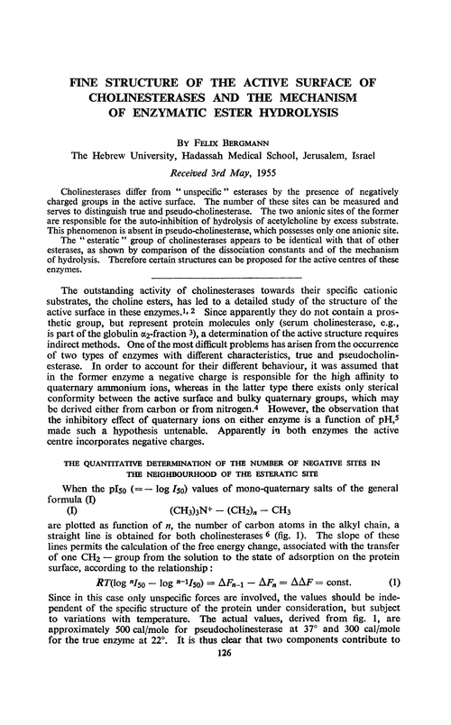 Fine structure of the active surface of cholinesterases and the mechanism of enzymatic ester hydrolysis