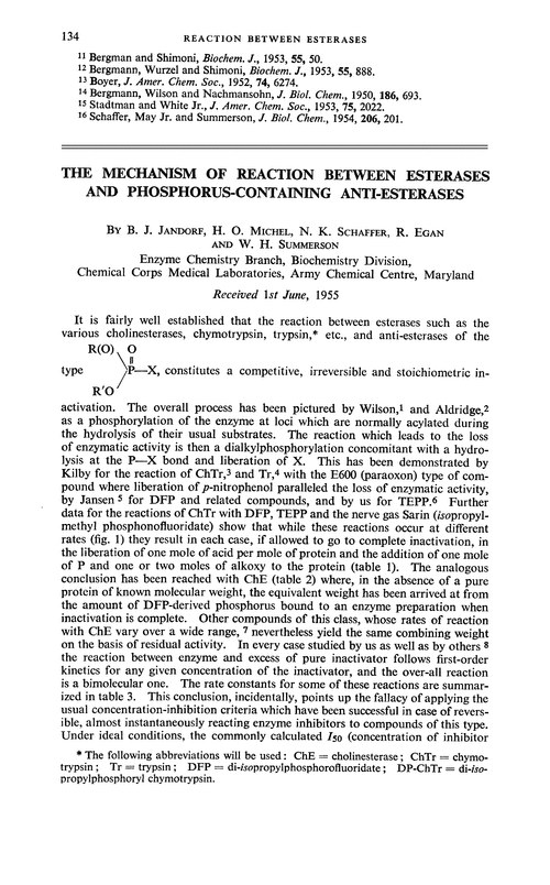 The mechanism of reaction between esterases and phosphorus-containing anti-esterases