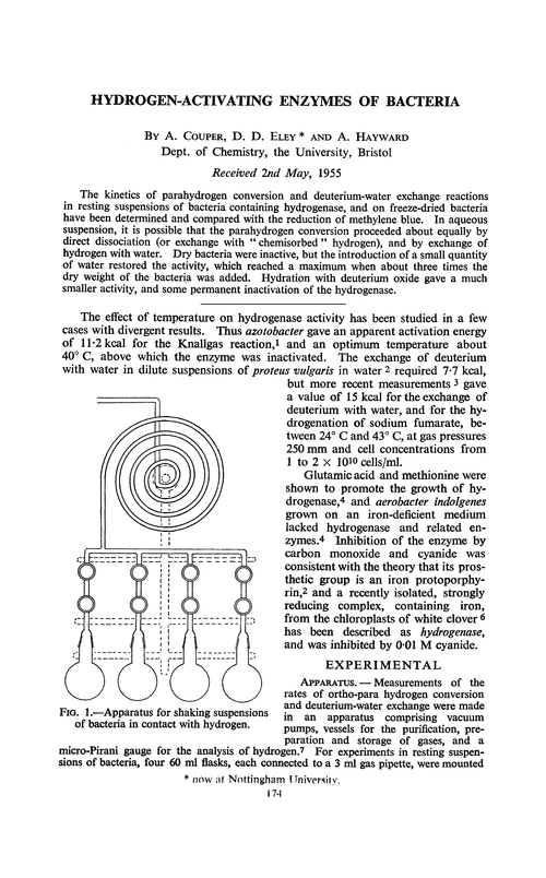 Hydrogen-activating enzymes of bacteria