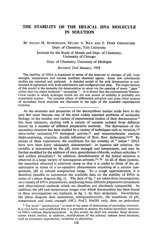 The stability of the helical DNA molecule in solution