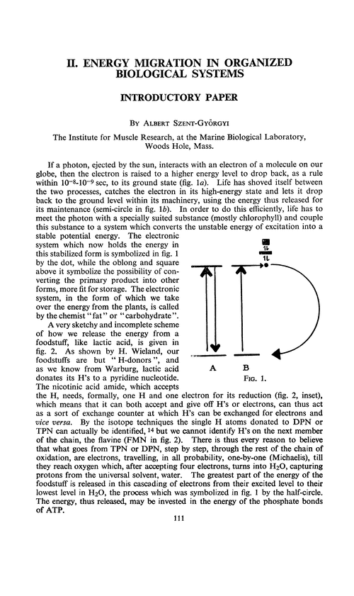 Energy migration in organized biological systems. Introductory paper