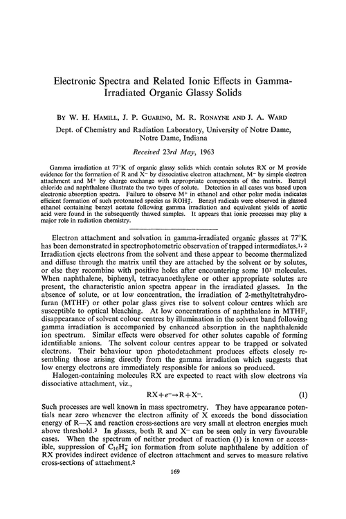 Electronic spectra and related ionic effects in gamma-irradiated organic glassy solids