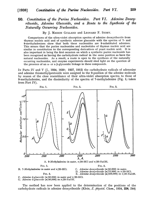 50. Constitution of the purine nucleosides. Part VI. Adenine deoxyriboside, adenine glucoside, and a route to the synthesis of the naturally occurring nucleosides