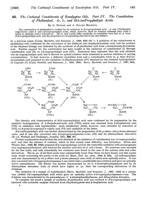 40. The carbonyl constituents of eucalyptus oils. Part IV. The constitution of phellandral. d-, l-, and dl-β-isopropyladipic acids