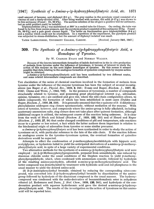 309. The synthesis of α-amino-γ-(p-hydroxyphenyl)butyric acid, a homologue of tyrosine