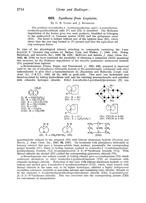 603. Syntheses from lupinine
