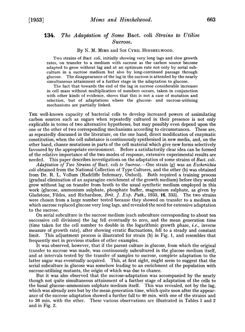 134. The adaptation of some Bact. coli strains to utilise sucrose