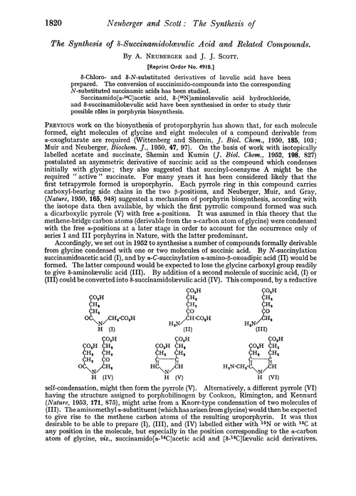 The synthesis of δ-succinamidolœvulic acid and related compounds