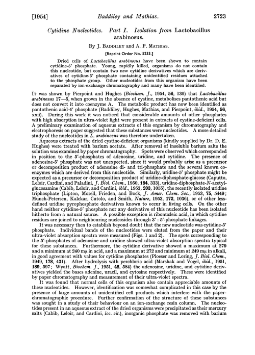 Cytidine nucleotides. Part I. Isolation from lactobacillus arabinosus