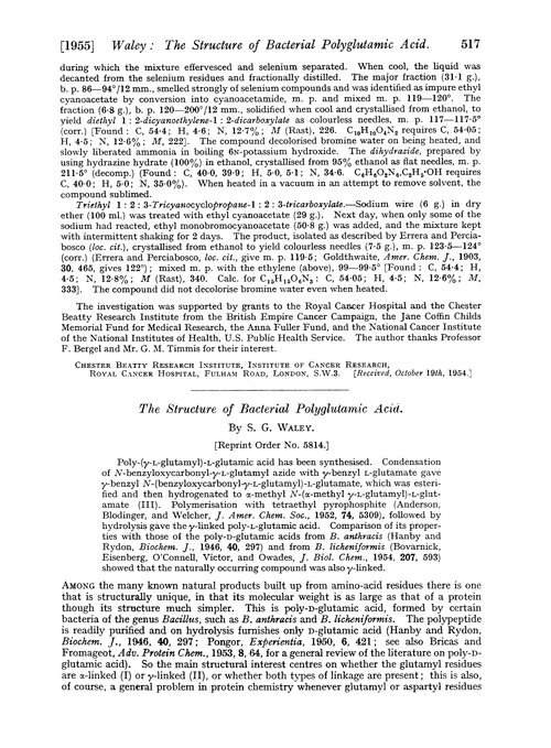 The structure of bacterial polyglutamic acid